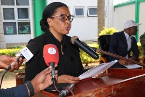 Sector segurador moçambicano em transformação