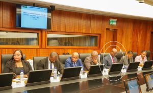 Comité Nacional da ENIF 2025-2031 realiza primeira reunião de trabalho