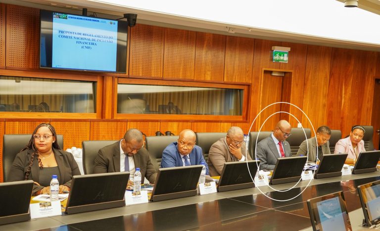 Comité Nacional da ENIF 2025-2031 realiza primeira reunião de trabalho